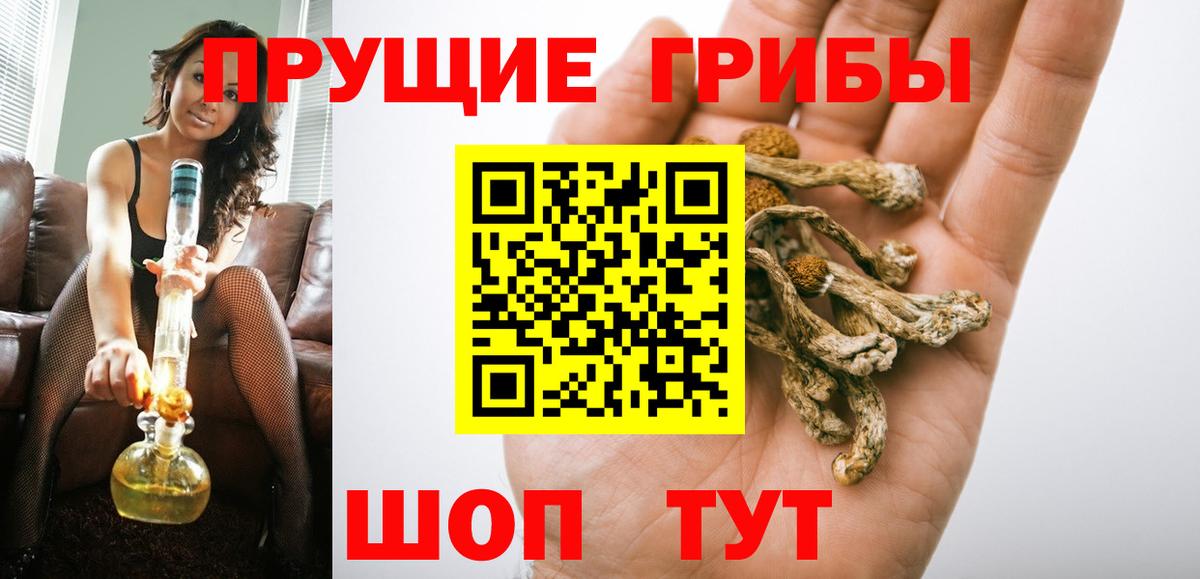 Норильск  Галлюциногенные грибы ЛСД  Вход с VPN 